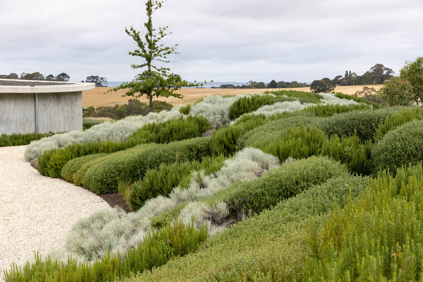 BANGAY-Merricks-81 BANGAY-Merricks-81