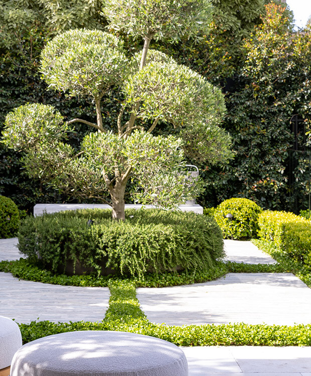 CAMBERWELL / VICTORIA