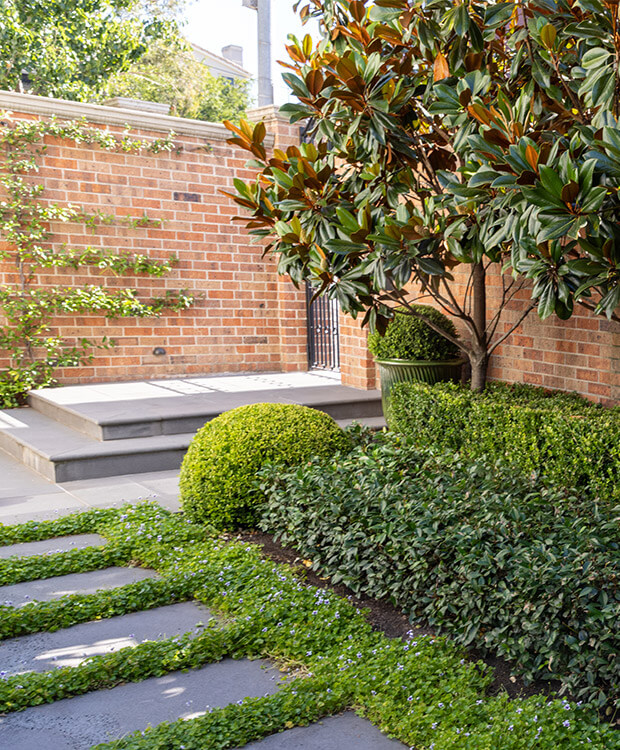 South Yarra / Victoria